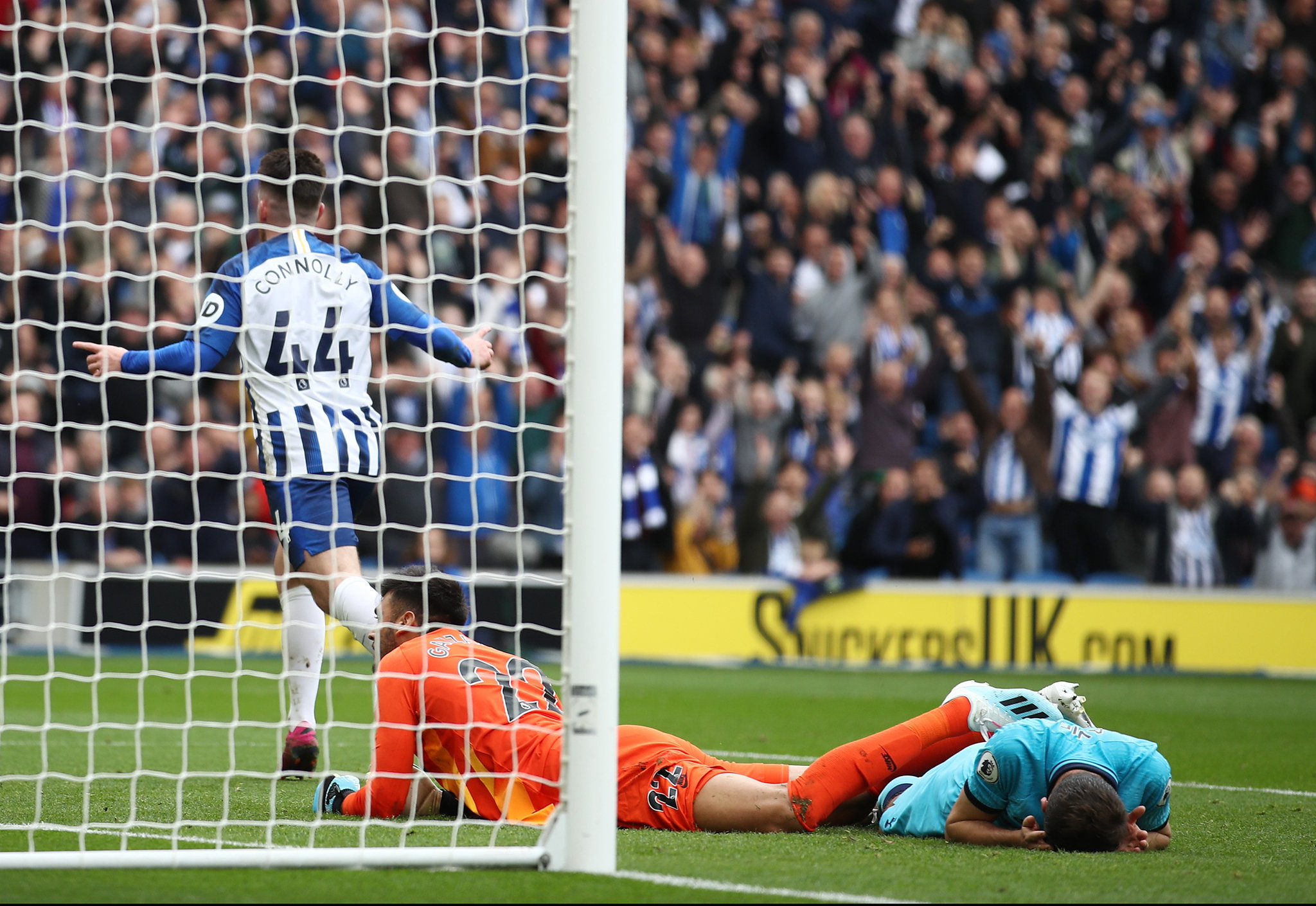 培养新星势 培养新星势